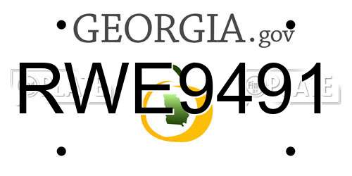 RWE9491 Georgia License Plate