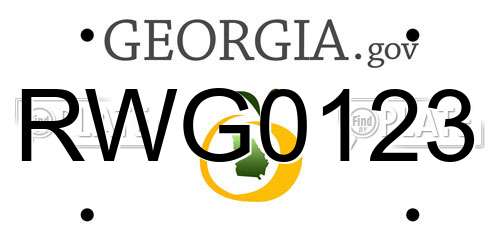 RWG0123 Georgia License Plate