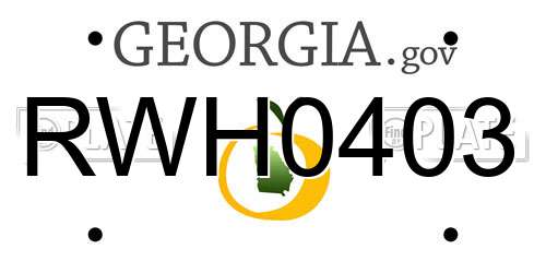 RWH0403 Georgia License Plate