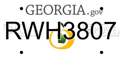 RWH3807 Georgia License Plate