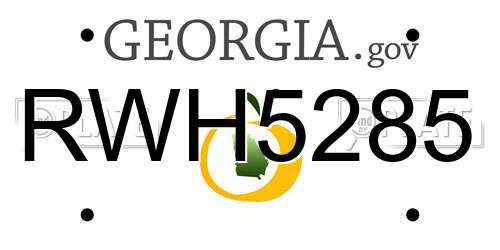 RWH5285 Georgia License Plate