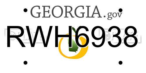 RWH6938 Georgia License Plate