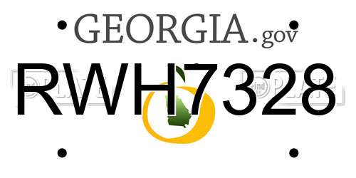 RWH7328 Georgia License Plate