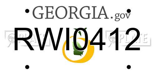 RWI0412 Georgia License Plate