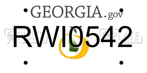 RWI0542 Georgia License Plate
