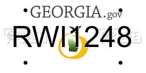RWI1248 Georgia License Plate