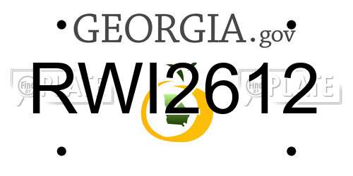 RWI2612 Georgia License Plate