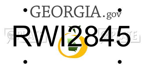 RWI2845 Georgia License Plate