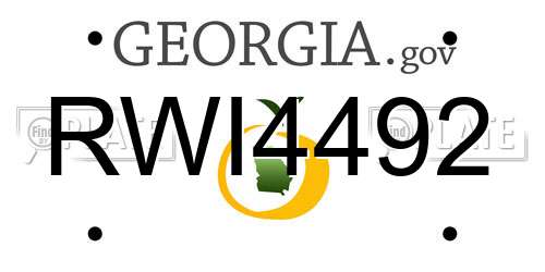 RWI4492 Georgia License Plate