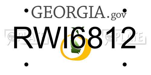 RWI6812 Georgia License Plate