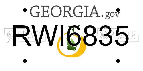 RWI6835 Georgia License Plate