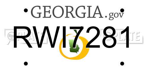 RWI7281 Georgia License Plate