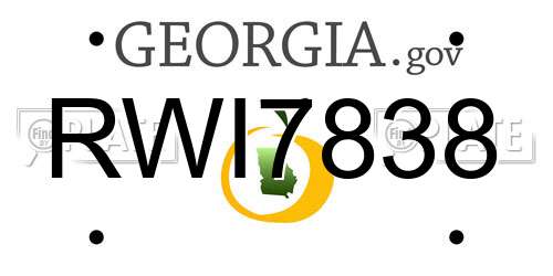 RWI7838 Georgia License Plate