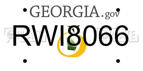 RWI8066 Georgia License Plate