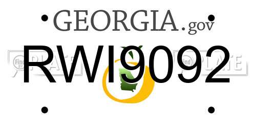 RWI9092 Georgia License Plate