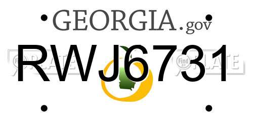 RWJ6731 Georgia License Plate