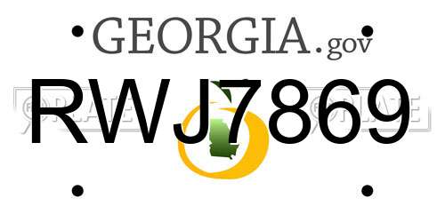 RWJ7869 Georgia License Plate