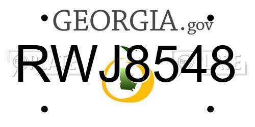 RWJ8548 Georgia License Plate