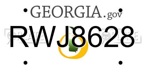 RWJ8628 Georgia License Plate