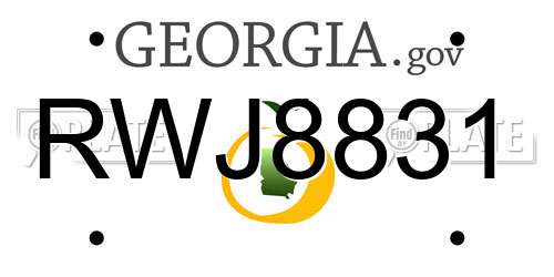 RWJ8831 Georgia License Plate
