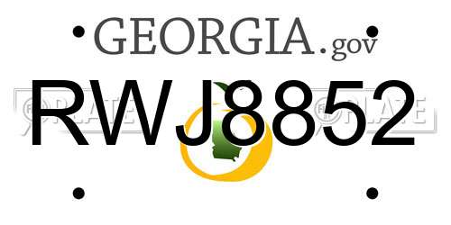 RWJ8852 Georgia License Plate