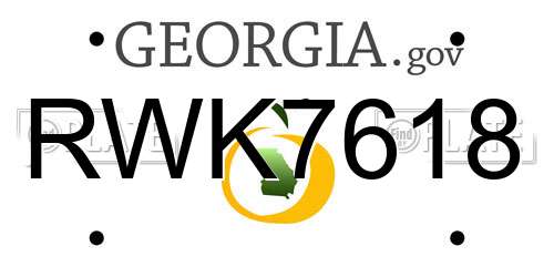 RWK7618 Georgia License Plate