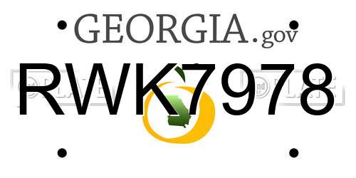 RWK7978 Georgia License Plate