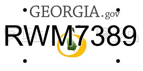 RWM7389 Georgia License Plate