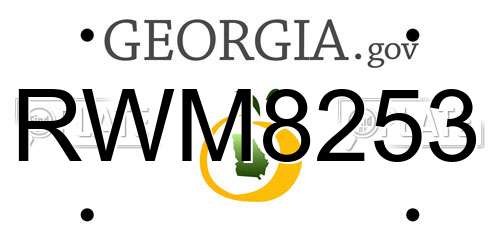 RWM8253 Georgia License Plate