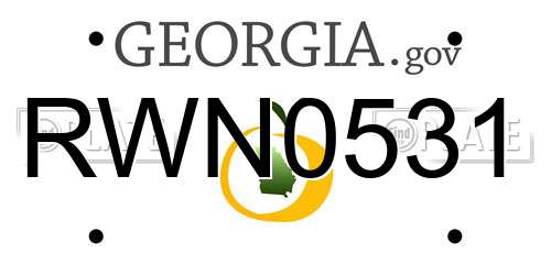 RWN0531 Georgia License Plate