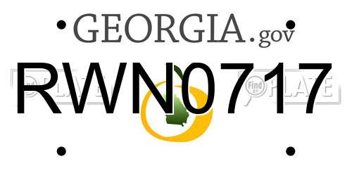 RWN0717 Georgia License Plate