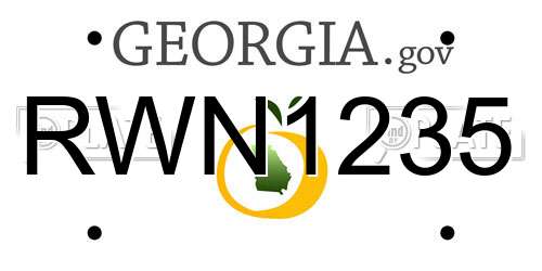 RWN1235 Georgia License Plate
