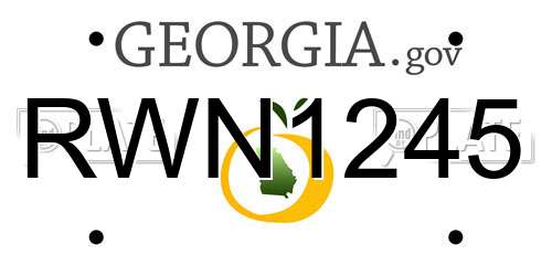 RWN1245 Georgia License Plate