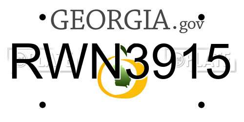 RWN3915 Georgia License Plate