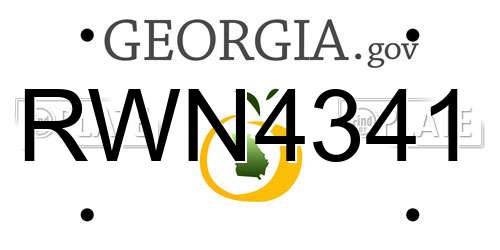 RWN4341 Georgia License Plate