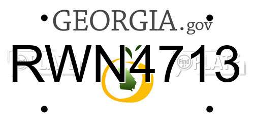 RWN4713 Georgia License Plate