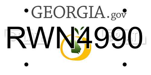 RWN4990 Georgia License Plate