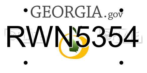 RWN5354 Georgia License Plate
