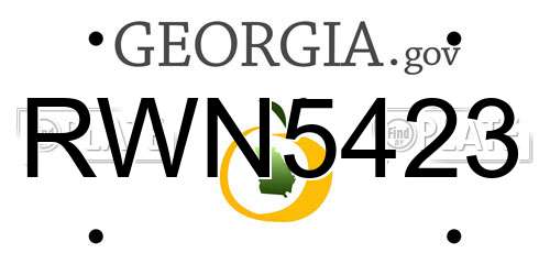 RWN5423 Georgia License Plate