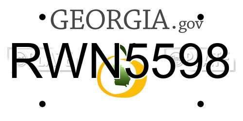 RWN5598 Georgia License Plate