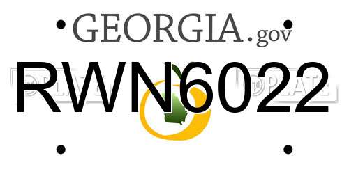 RWN6022 Georgia License Plate