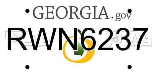 RWN6237 Georgia License Plate
