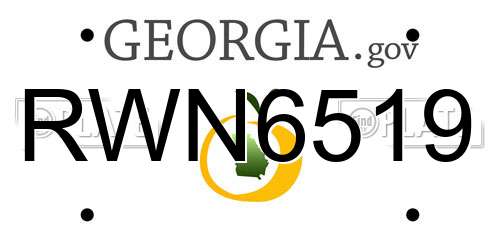 RWN6519 Georgia License Plate