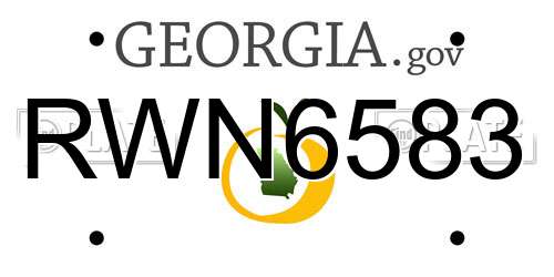 RWN6583 Georgia License Plate