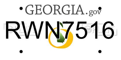 RWN7516 Georgia License Plate