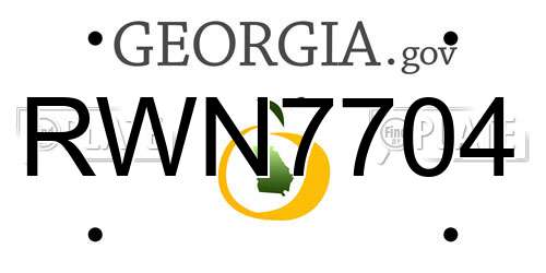 RWN7704 Georgia License Plate