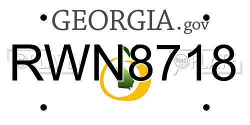 RWN8718 Georgia License Plate