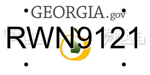 RWN9121 Georgia License Plate
