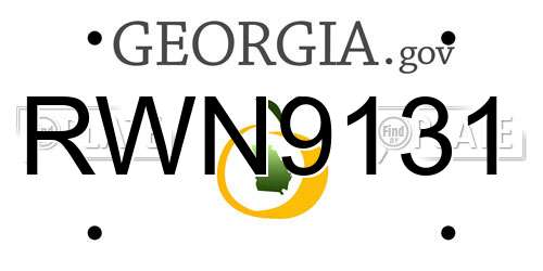 RWN9131 Georgia License Plate