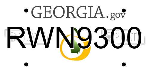 RWN9300 Georgia License Plate
